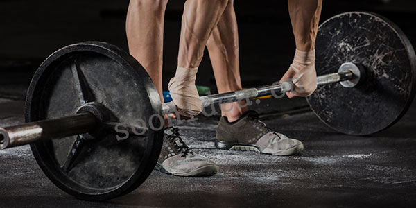 FITNESS BRAND SOLUTION